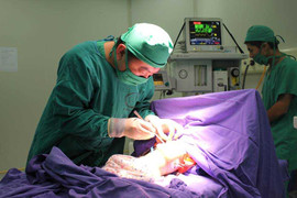 Cứu sống trẻ sơ sinh bị tràn dịch màng ngoài tim