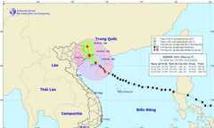 Bão Sarika chuyển hướng, đổ bộ Quảng Ninh, Lạng Sơn