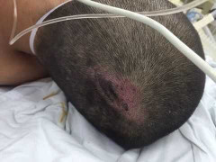 Khởi tố hai thiếu niên đánh chết học sinh trung học cơ sở