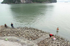 Thanh niên co ro ngồi trên bờ giữ ấm, người già vùng vẫy tắm biển