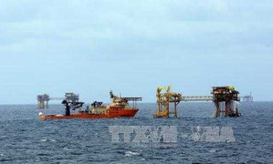 Bất ngờ phát hiện vỉa dầu mới ở giếng khoan thăm dò mỏ Bạch Hổ