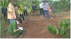 Khởi tố bị can vụ giết chồng người tình, chôn xác phi tang tại Lâm Đồng