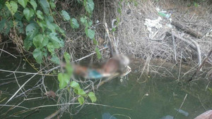 Phát hiện bộ xương người treo lơ lửng trên mặt nước