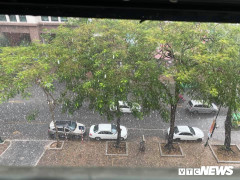 'Cơn mưa vàng' trút xuống Hà Nội, đánh tan bầu không khí mịt mờ khói bụi