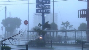 Ảnh hưởng của bão Tapa: Nhật Bản hủy hơn 360 chuyến bay