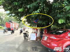 Ảnh: Biển báo giao thông 'ẩn nấp', thách đố người đi đường ở Thủ đô