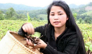 Những cô gái dân tộc giành học bổng danh giá trên đất Mỹ