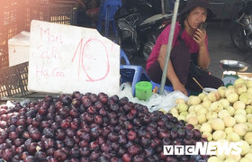 Khách mua sợ hàng Trung Quốc, mận tím khổng lồ hạ giá mạnh vẫn ế