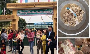 Trẻ ăn phải 'thịt bẩn, gà thối' ở trường mầm non Bắc Ninh: Yêu cầu công an điều tra