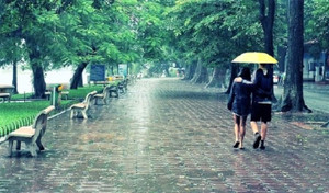 Ảnh hưởng gió mùa đông bắc, Hà Nội có mưa và sương mù