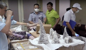 Bắt giữ 55 khúc sừng tê giác ngụy trang trong thạch cao về sân bay Nội Bài