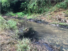 Chuyên gia: Hà Nội cần đánh giá 'mức độ gây hại của Styren trong nước sạch'