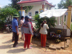 Hàng trăm người đổ xô cúng bái cây chuối lạ ở Huế