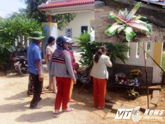 Dân đổ xô cúng bái cây chuối lạ: Chuyên gia thực vật học nói gì?