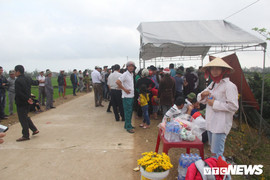 Dân ngăn cản chính quyền cắt điện, tháo rạp thờ 'rắn thần' trên ngôi mộ vô danh ở Quảng Bình