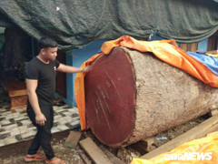 Ván sàn gỗ lim làm cầu đi bộ siêu sang ở Huế rạn nứt: Thông tin mới nhất