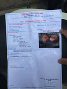 Nghi vấn bác sỹ chẩn đoán sai khiến người phụ nữ suýt phá thai