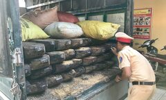 CGST Huế phát hiện ô tô chở lượng lớn gỗ quý không có dấu kiểm lâm