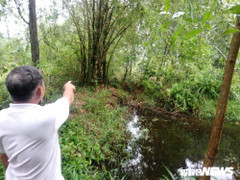 Cấp đất có nguồn gốc rừng phòng hộ cho hàng loạt cán bộ huyện ở Huế: Lộ hàng loạt bất thường