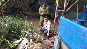 'Kho' bom, đạn bị vùi lấp trong vườn nhà ở Huế