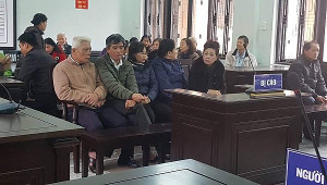 Huy động vốn trái phép, 'nữ doanh nhân vàng' lĩnh án tù