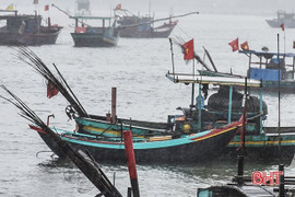 Đi câu mực, 2 cha con bị sóng biển hất văng khỏi thuyền