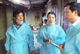 Vừa công bố hết dịch, tả lợn châu Phi tiếp tục quay lại hoành hành ở Thừa Thiên - Huế