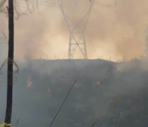 Nắng nóng, cháy rừng, nước sông cạn buộc EVN phải cắt điện ở nhiều nơi