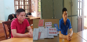 Từ Hải Phòng vào Quảng Trị thuê nhà cho vay tín dụng đen