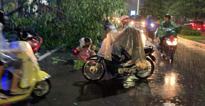 Bão số 4 đổ bộ, gió lớn giật đổ cây cối đè lên một phụ nữ ở Huế