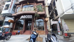 Sau 1 tuần bị chuyển đi bất thường, cây sưa trước cửa nhà hàng đại gia xứ Huế được trồng lại chỗ cũ