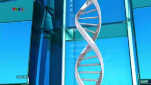 Thủ tướng Chính phủ yêu cầu kiểm tra việc Phòng khám 168 Hà Nội làm chết não bệnh nhân