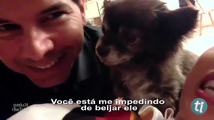 Clip: Những chú chó ‘cuồng ghen’ khi thấy chủ âu yếm người khác