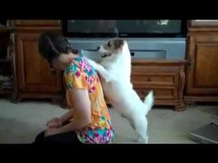 Bạn sẽ muốn nuôi ngay một chú chó sau khi xem clip này