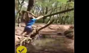 Tổng hợp những tai nạn bi hài nhất