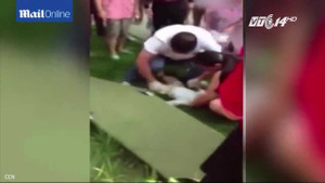 Bé 2 tuổi sống sót dù bị ném từ tầng 7 khi bố mẹ cãi nhau