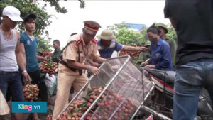 CSGT, bộ đội giúp dân khuân vác vải thiều