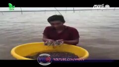 Táo tợn mang mã tấu đi cướp sò huyết ở Cà Mau