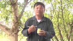 Cách phân biệt sữa ong chúa sạch