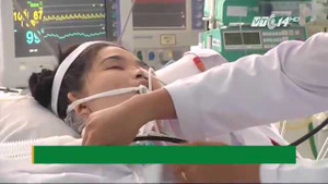 Vừa thi xong đại học, nữ sinh bị ong đốt phù phổi, nguy kịch