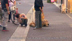 Cụ ông dắt rùa khổng lồ đi dạo gây xôn xao đường phố