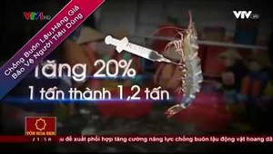 Lợi nhuận không tưởng từ thủ đoạn đưa tạp chất vào tôm