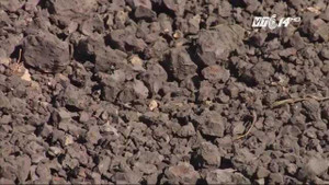 Tiếp tục phát hiện 10 tấn bùn đen của Formosa chôn lấp trong công viên