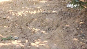 Đã có kết quả phân tích ban đầu chất thải Formosa