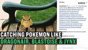 Chàng trai xin nghỉ việc để săn Pokemon toàn thời gian