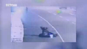 Ngựa 'điên' phi nước đại, quật ngã xe máy trên phố