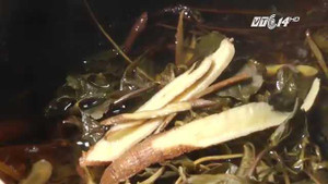 Sử dụng cam thảo không đúng cách nguy hiểm khôn lường