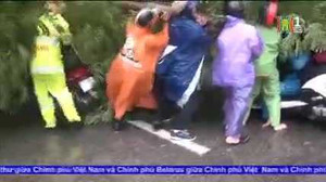 Hà Nội: Bất chấp nguy hiểm, dân lao vào cứu 2 cô gái bị cây đổ đè lên người