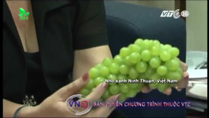 Cách phân biệt nho Ninh Thuận và nho Trung Quốc