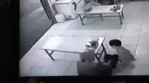 Mặc kệ nhà có người, 'cẩu tặc' ngang nhiên vào giữa phòng bắt chó